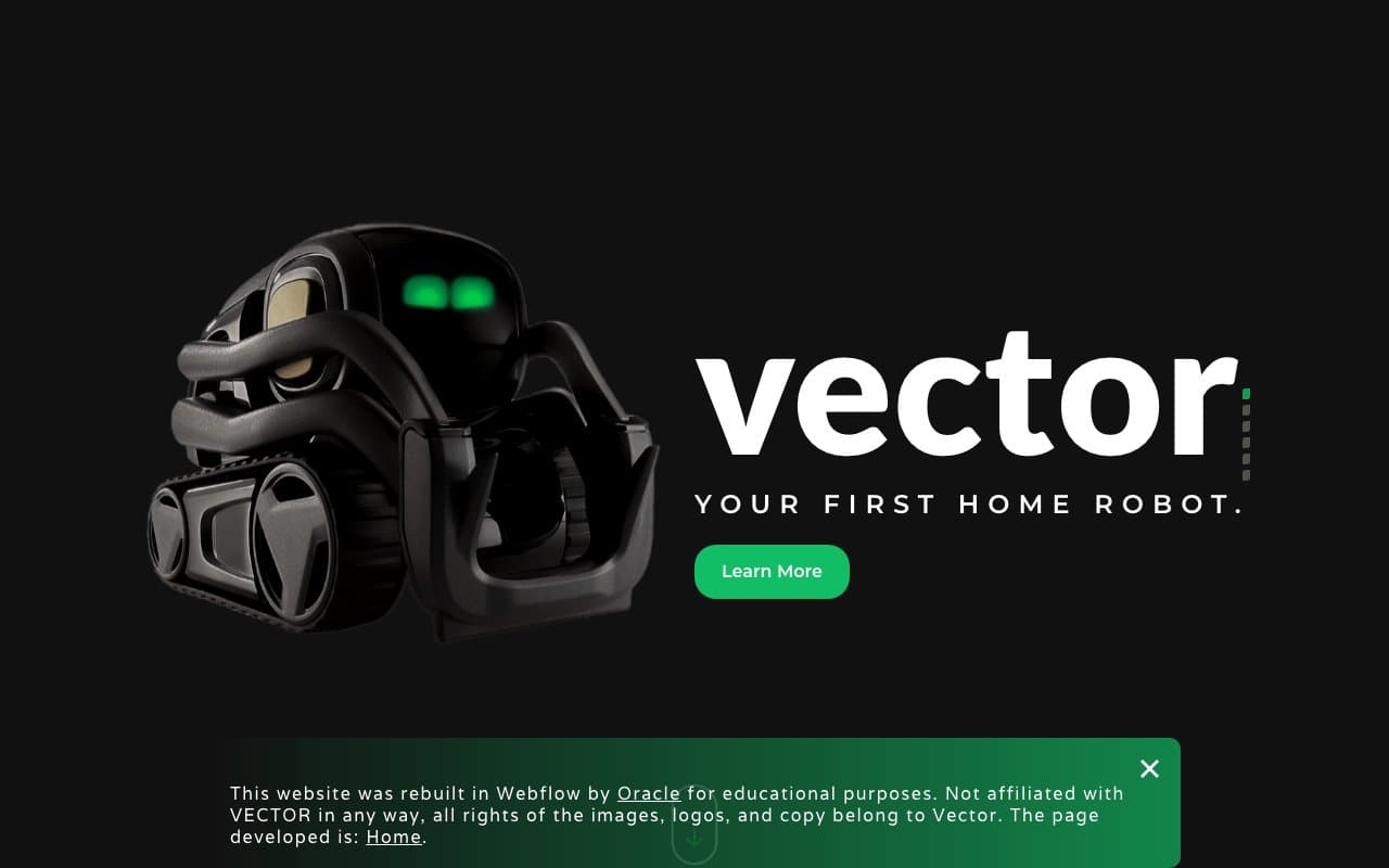 Vector Home Robot